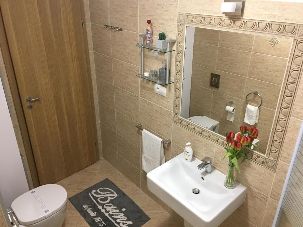 Elegantza Suites Braşov Dış mekan fotoğraf